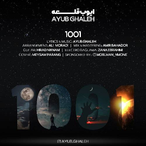 ایوب قلعه 1001